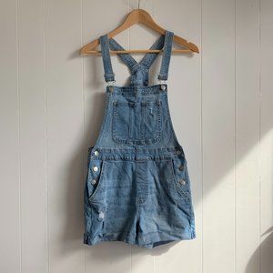 Adorable Denim Overvalls